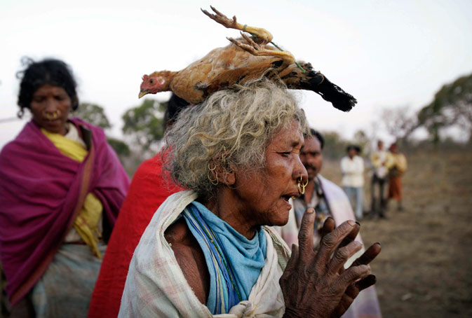 An Indian Dongaria Kondh tribal woman carries a chicken offered for sacrifice on her head as she dances during the annual festival of Niyam Raja in Lanjigarh at the sacred Niyamgiri Hill. ?AP Photo