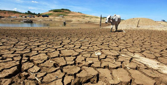 climate-change-reuters543