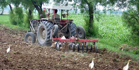 tractor-543