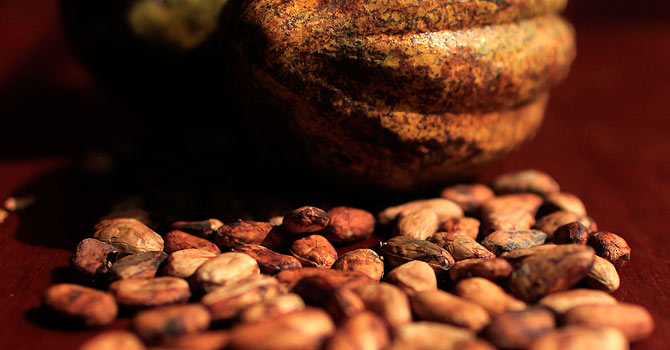 cocoa-670