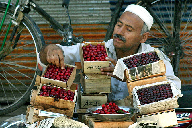 A vendor displays his stock of cherries at a roadside stall in Peshawar, Pakistan. -Photo by APP