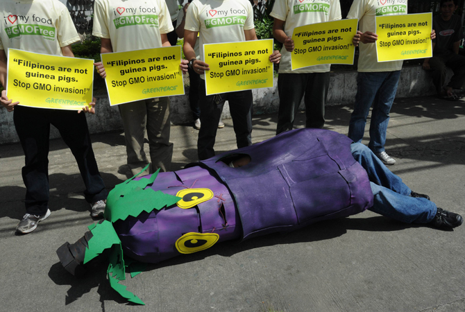 An environmental activist from Greenpeace decked out as an eggplant, lies down in front of colleagues outside of the Department of Agricultural and the Department of the Environment in Manila on World Environment Day. The protesters called on the government to stop the introduction of genetically-modified products into the food chain. ? Photo by AFP