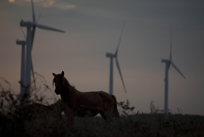 Horses are seen nearby the wind farm ?Amayo?, located 115km South of Managua, the first wind power project of Nicaragua which spreads over 280ha and consists of 19 wind turbine generators. ? Photo by AFP