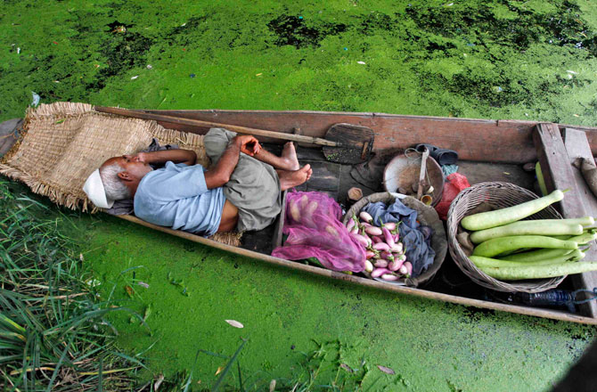 A Kashmiri vegetable vendor takes a nap in his boat at Dal Lake in Srinagar July 30, 2012. ? Photo by Reuters