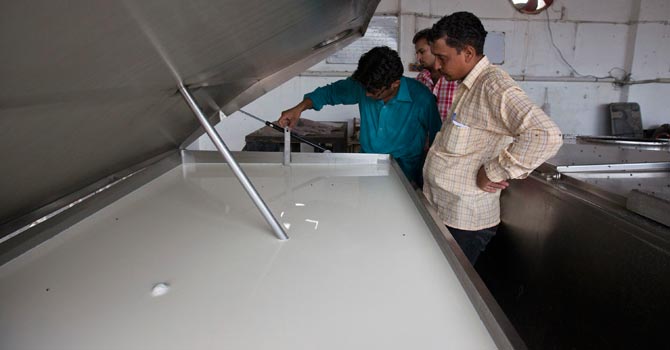 A-farmer-inspects-the-quality-of-milk-in-an-industrial-refrigerator-at-a-farm-in-Narowal670 A farmer inspects the quality of milk in an industrial refrigerator at a farm in Narowal. — Reuters Photo