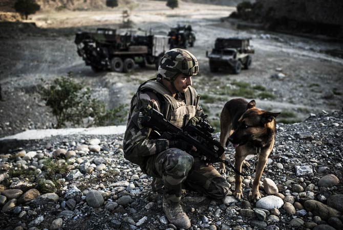 A French soldier crouches beside a dog before the passing of a convoy. ? Photo by AFP