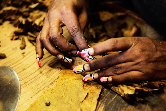 A factory worker with brightly colored nails rolls some cigars. ? Photo by Reuters