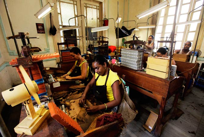 Hand rolled cigars are smoother since the workers easily spot flaws and bumps unlike those produced by machine. ? Photo by Reuters