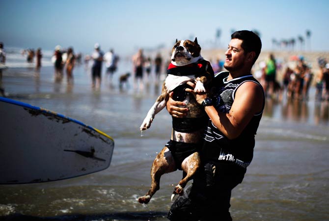 A man carries a competitor into the ocean. ? Photo by Reuters
