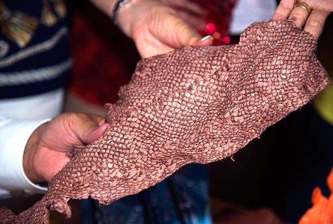 Colored leather made from treated fish skin by Esther Nunez of Argentina. ? Reuters Photo