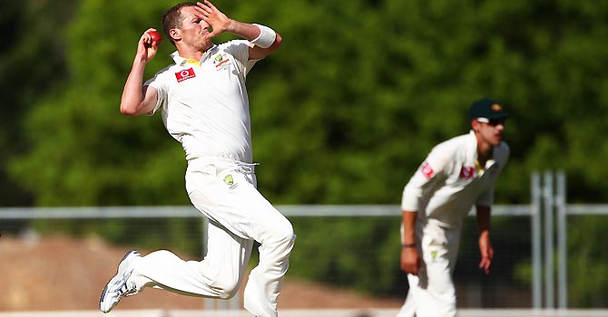 peter siddle, australia cricket