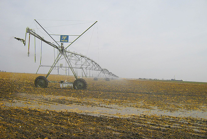 A sprinkler is in use near Dodge City, Kansas. The government declared much of the central and southern Wheat Belt a natural disaster area on January 9, 2013, due to persistent drought that imperils this year's winter wheat harvest.?Photo by Reuters