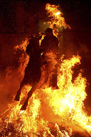 A man rides his horse through the flames during the "Luminarias" annual religious celebration on the night before Saint Anthony's, Patron of animals, in the village of San Bartolome de los Pinares, about 100 km north west of Madrid. According to tradition that dates back 500 years, people ride their horses trough the narrow cobblestone streets of this small village to purify the animals with the smoke of the bonfires.?Photo by Reuters