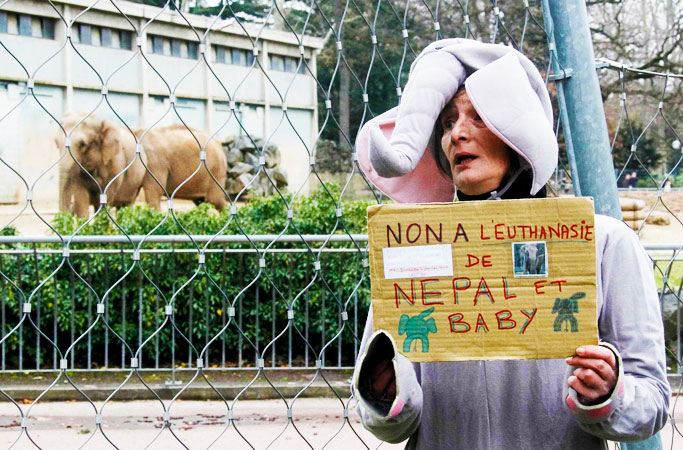 A woman dressed in an elephant costume holds a sign during a protest demonstration against the death sentence of two ailing elephants at the Tete d'Or zoo in Lyon. The sign reads, "No to euthanasia of Nepal and Baby". -Photo by AFP