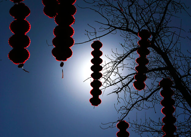 Decorative red lanterns are hung on trees ahead of the Chinese Lunar New Year celebrations at Ditan Park (the Temple of Earth) in Beijing. ?Photo by Reuters