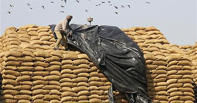 A worker uses a plastic sheet to cover sacks of rice at a wholesale grain market in Chandigarh. —Photo (FIle) Reuters