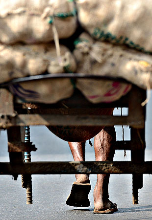 A Sri Lankan labourer pulls a cart laden with sacks of potatoes at the main market in Colombo on April 30, 2013 the eve of the Indian Ocean nation marking International Labour day. Sri Lankan trade unions are promising to turn May Day rallies as protests against sharp increases in electricity tariffs announced late April. — AFP Photo