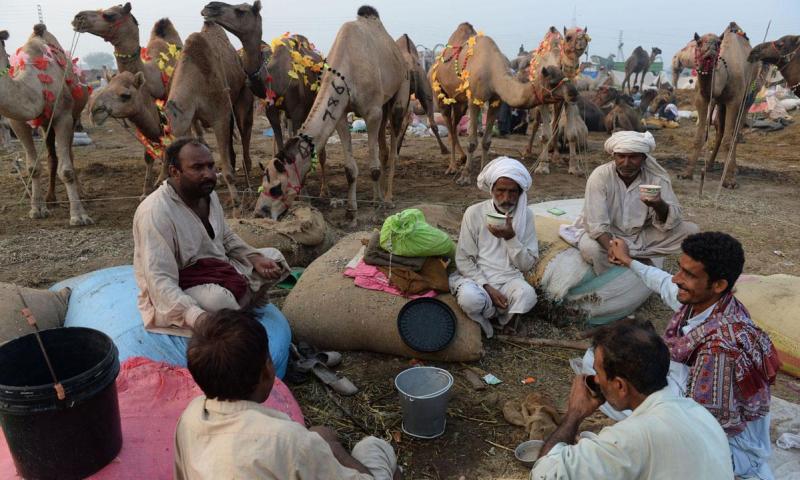 Importance of eid ul-adha picture