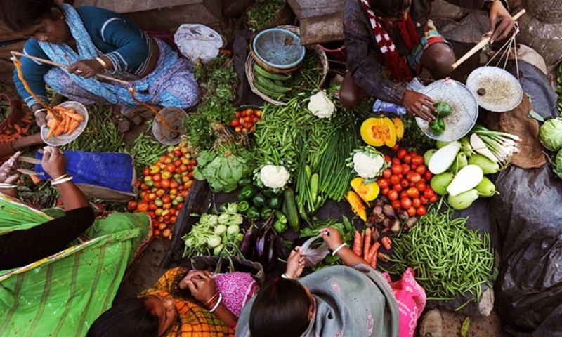 Food Shortage Essay