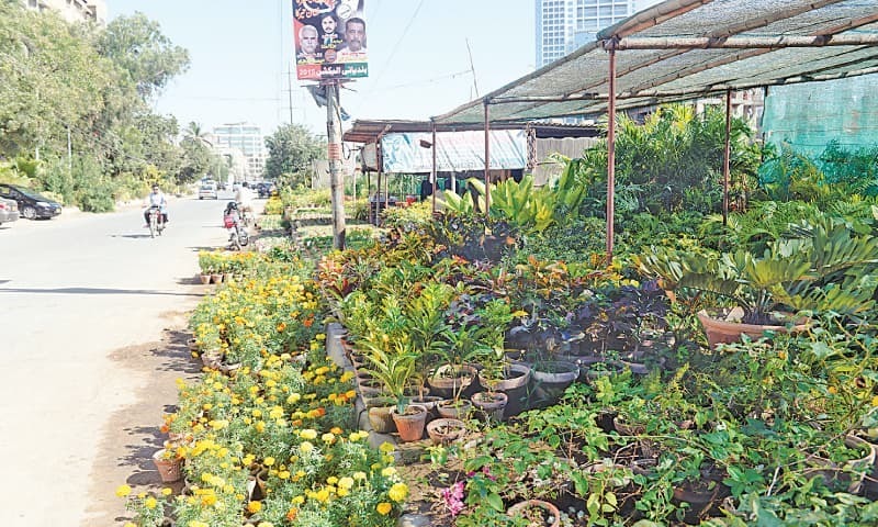 Clean And Green Karachi 039 S Nurseries Stan Dawn Com The Entire Lane Bordering Neher I Khayam Has Nurseries As Water From Nullah