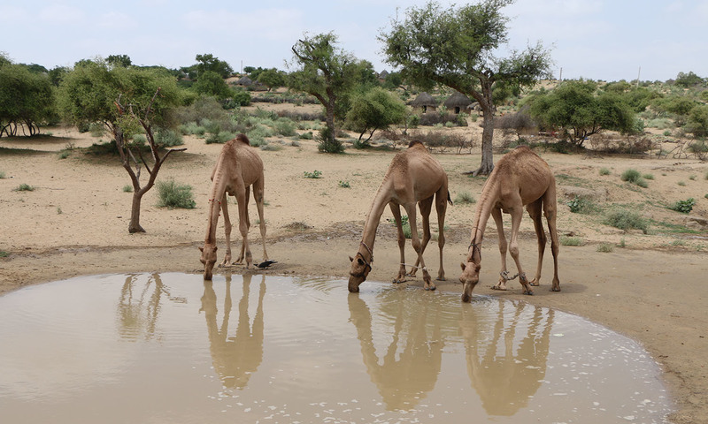 sc forms commission to tackle drinking water shortage in