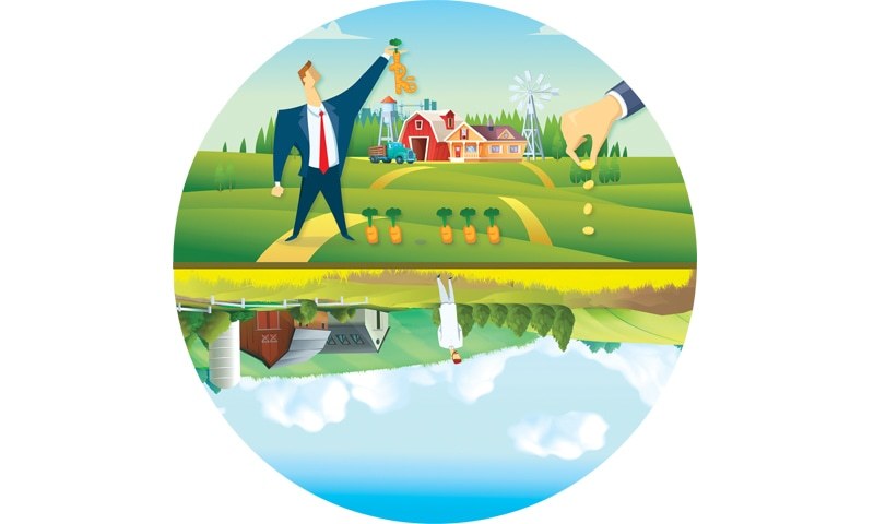 corporate farming has little