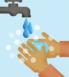 Development: Sanitation roadmap