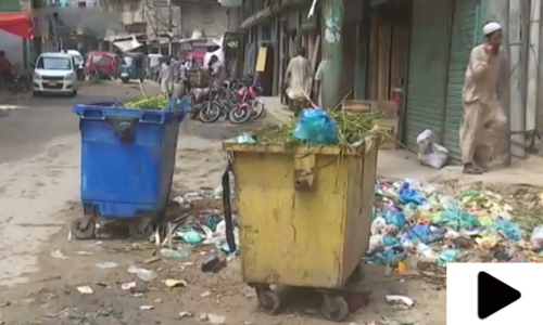 کراچی میں حالیہ بارشوں کے بعد مکھیوں اور مچھروں کی بھرمار