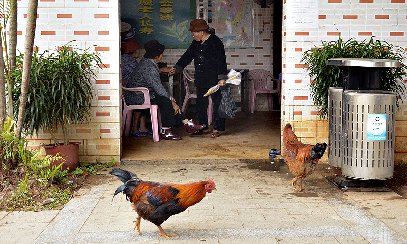 A group of elderly women chating at a tea house in Chengmai city.