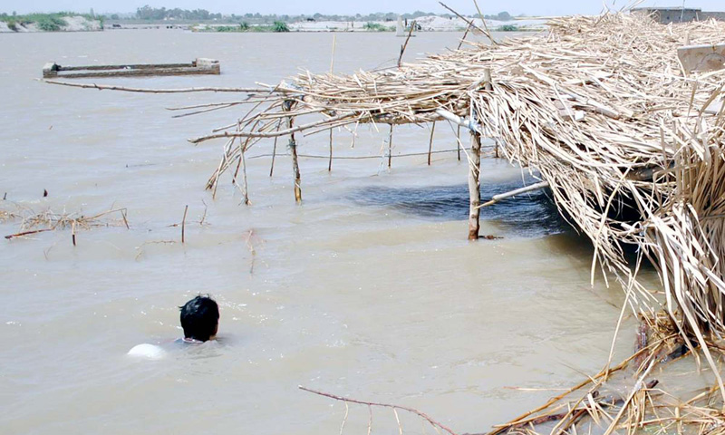 A view after a flood in Sehrish Nagar. The flood ruined cultivated land and houses in the locality of Hyderabad on Monday. – Photo by PPI