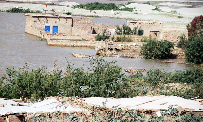 Houses are seen submerged in flood water in the Kacha Area of River Indus. – Online photo