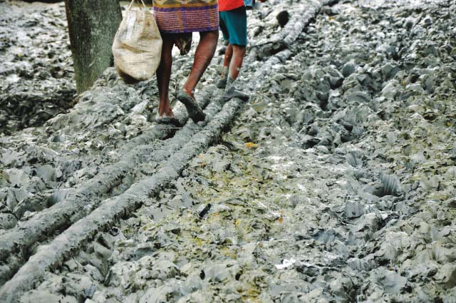 — Photo Ananta Yusuf