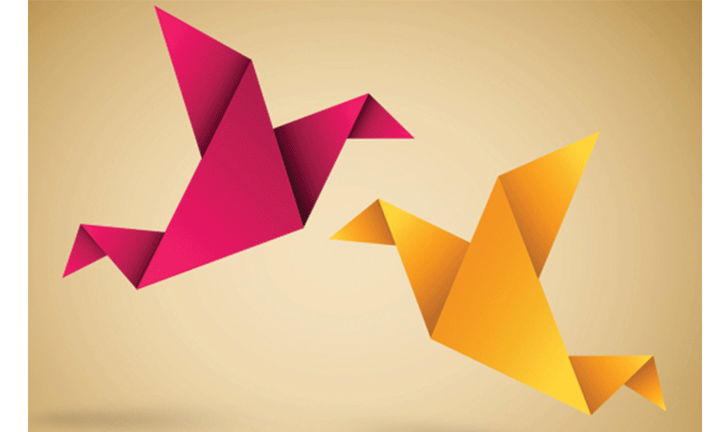 Cover story: Origami for you
