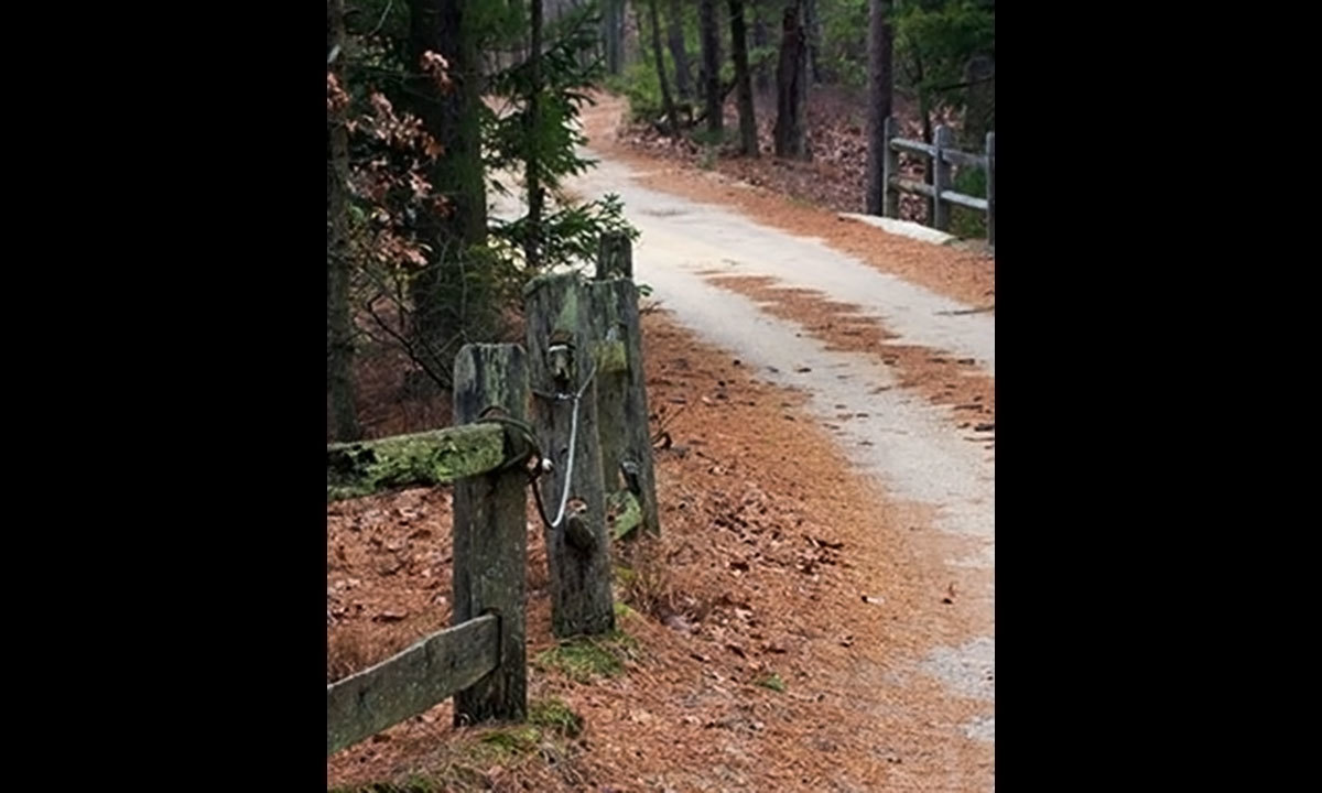 وکی پیڈیا فوٹو