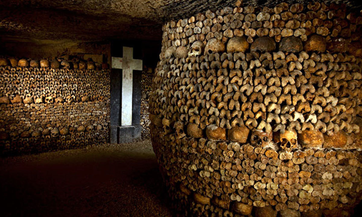 وکی پیڈیا فوٹو