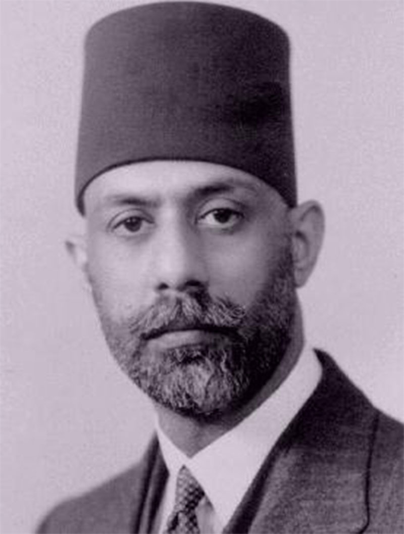 Essay maulana muhammad ali jauhar