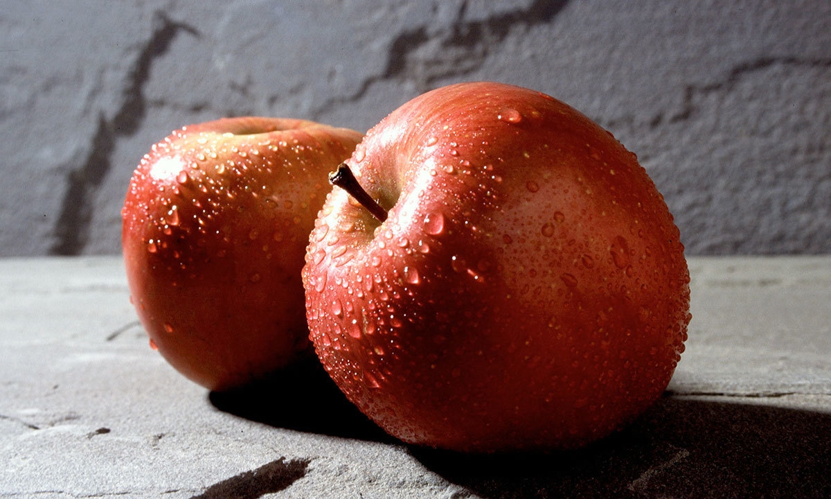 فوٹو بشکریہ وکی میڈیا کامنز