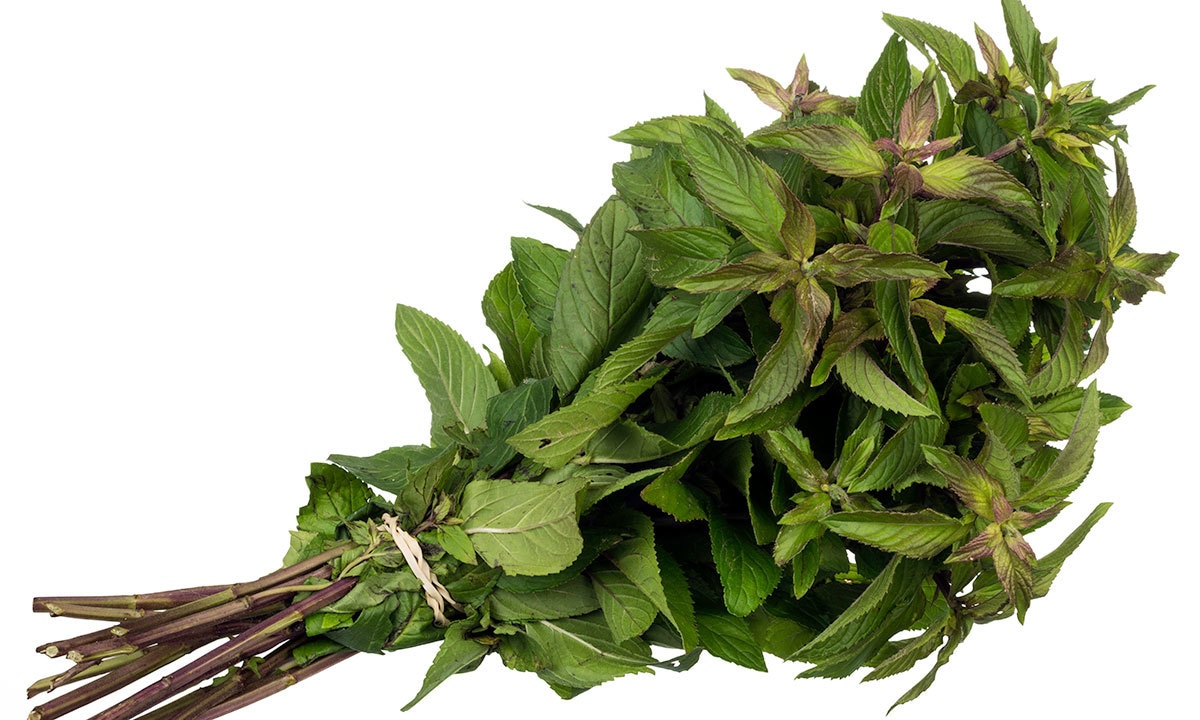 فوٹو بشکریہ وکی پیڈیا