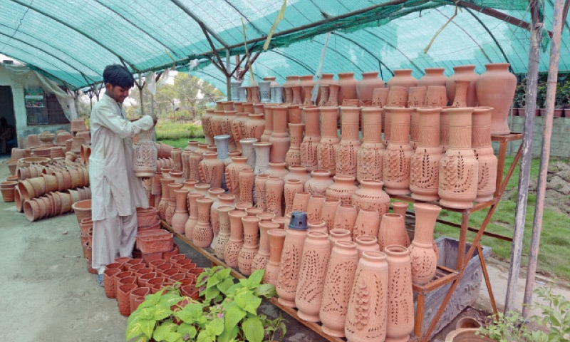 Plant Nurseries Business Blooms In Capital Despite The Weather These Nurseries In Abad Offer A Variety Of Plants And Pots One The Pictures