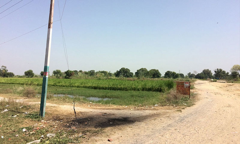 The field where police vehicles were burnt