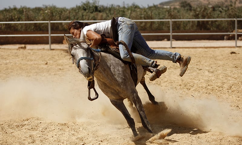Raja Kheir battles to saddle on a stray horse ─ AFP