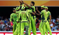 Irfan: The seven-footer from Pakistan who could have ruled IPL