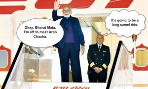 Mogambo in Arabia: A fly-on-the-wall review