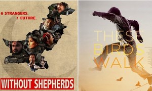 The first Pakistan Calling Film Festival is taking place this weekend