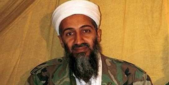 Osama bin Laden, Al Qaeda