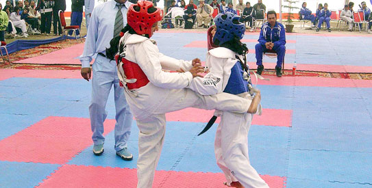 taekwondoAPP2543 Pakistan Taekwondo Federation, taekwondo