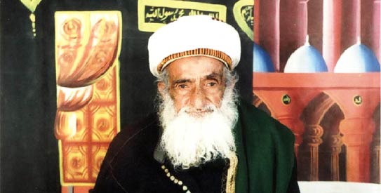 Badr al Din al Huthi, shia, yemen, abdel malek