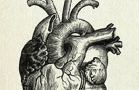Can noise really make your heart stop?