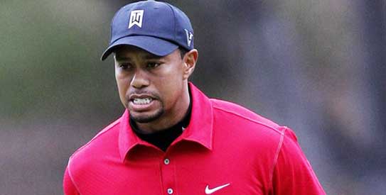 Tiger woods