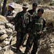 Thai-Cambodia border fighting 'damages' temple Thai-Cambodia border fighting 'damages' temple